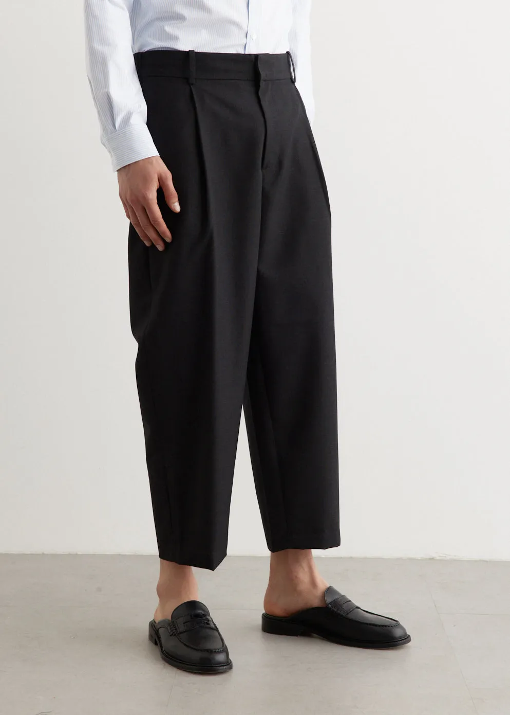 Cropped Pleated Tailored Pants